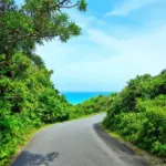 Scenic Road to Hana